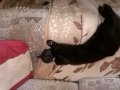 WP_20160709_001.jpg